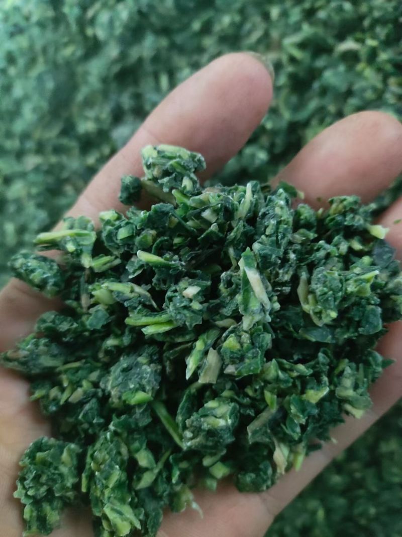 【推荐】蒲公英馅/视频看货/品质保证/欢迎咨询