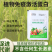 植物激活免疫蛋白，不含任何化学生长激素（科研新品）