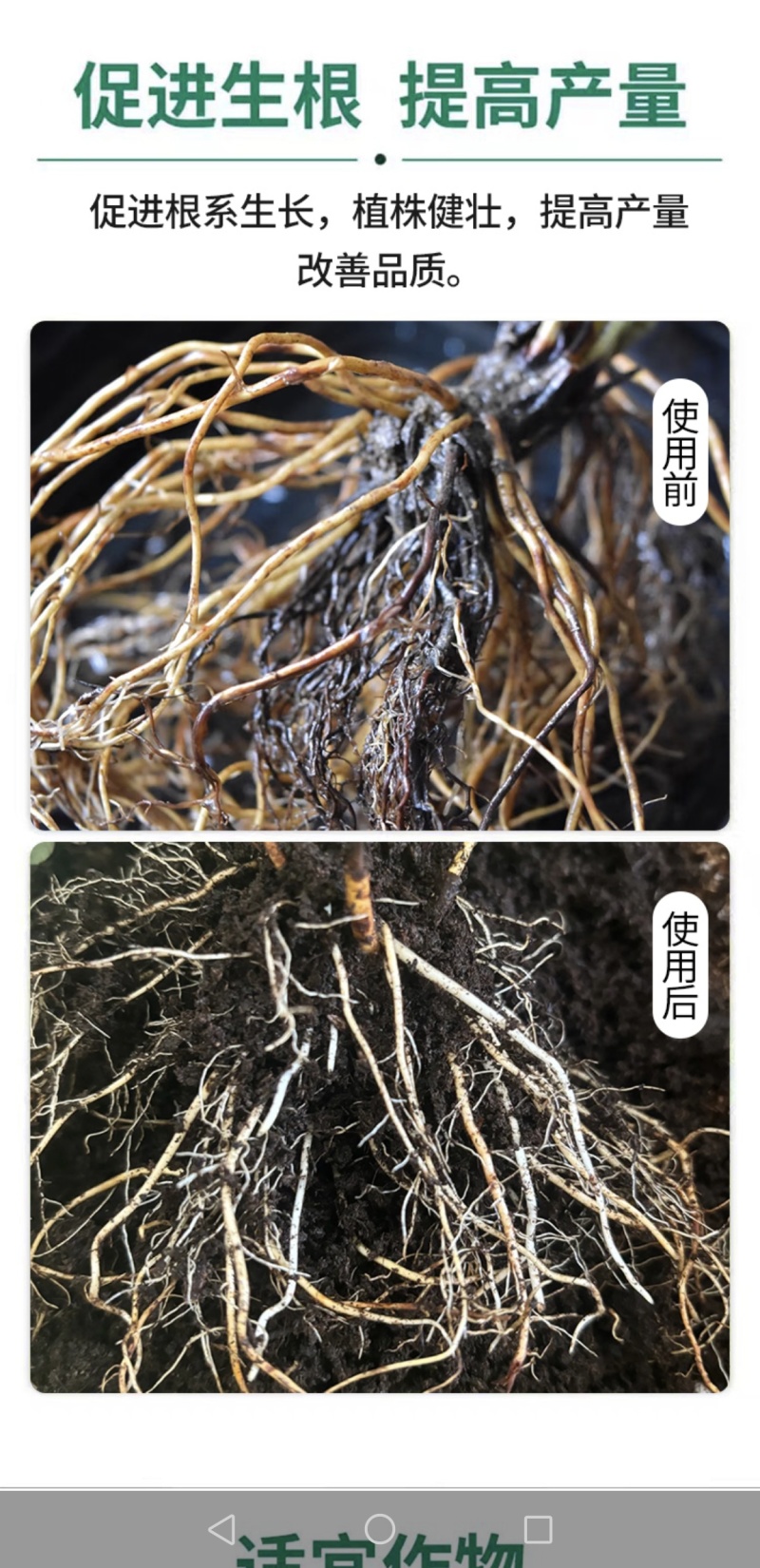 植物激活免疫蛋白，不含任何化学生长激素（科研新品）
