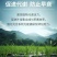 植物激活免疫蛋白，不含任何化学生长激素（科研新品）