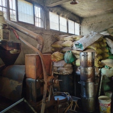 山茶油