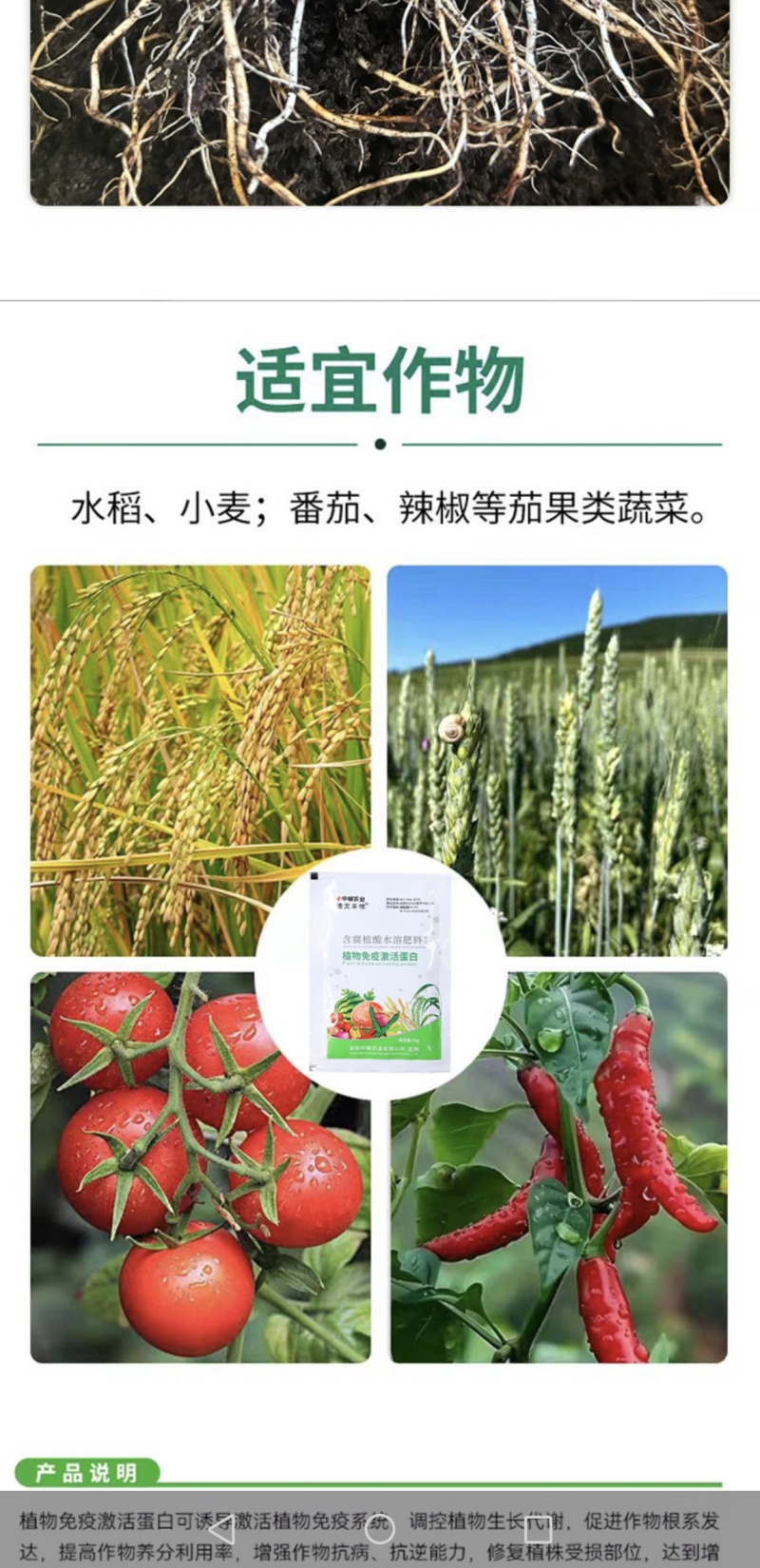 植物激活免疫蛋白，不含任何化学生长激素（科研新品）