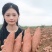登封本地沙地种植，正宗