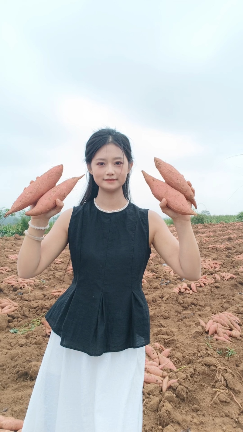 登封本地沙地种植，正宗