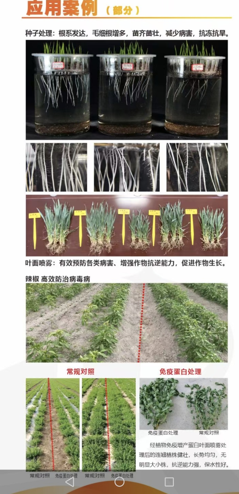植物激活免疫蛋白，不含任何化学生长激素（科研新品）