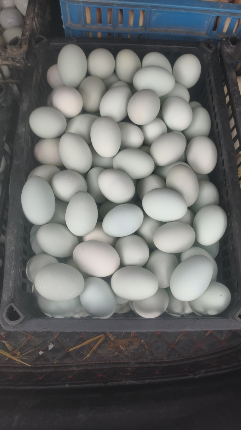 江苏咸鸭蛋工厂直发保质保量售后无忧全国发货