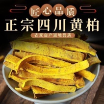 黄柏川黄柏正品黄柏丝带皮黄柏规格齐全质量保证