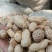 湖北鲜花生，湿花生，精品小白沙罗汉果，市场、电商、工厂