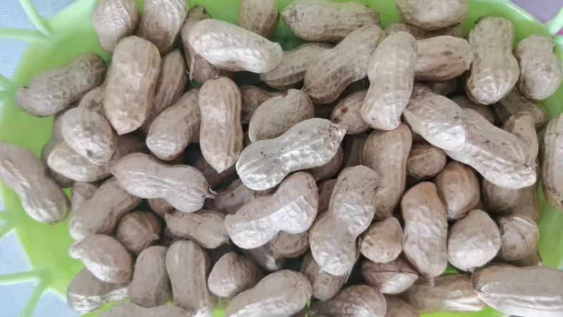 湖北鲜花生，湿花生，精品小白沙罗汉果，市场、电商、工厂