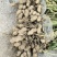 湖北鲜花生，湿花生，精品小白沙罗汉果，市场、电商、工厂
