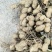 湖北鲜花生，湿花生，精品小白沙罗汉果，市场、电商、工厂