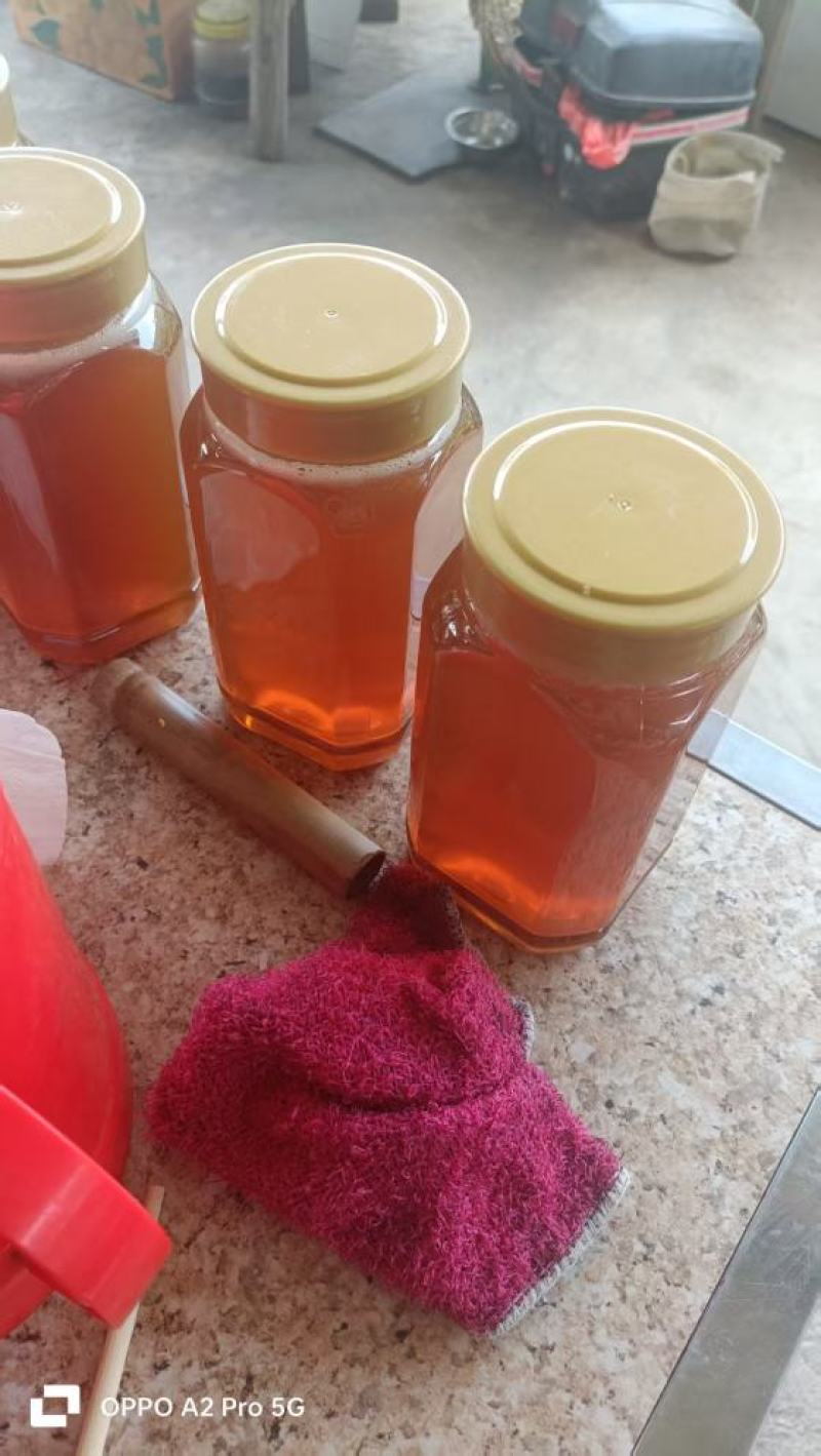 原生态鸭脚木花蜜冬蜜糖