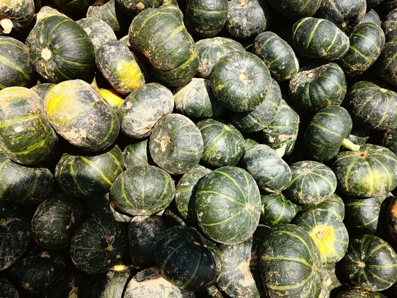 贝贝南瓜大量上市，一级，电商货都有