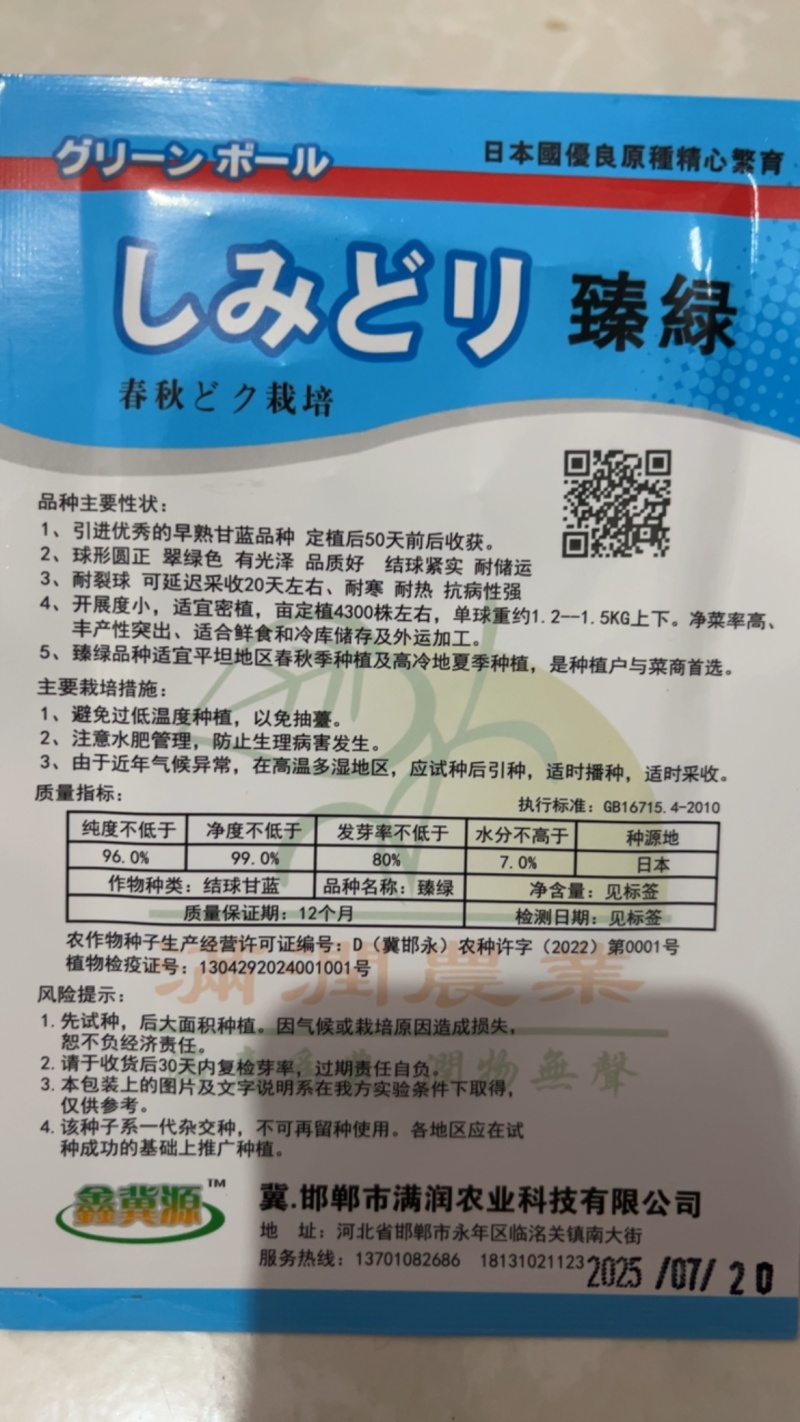 春秋甘蓝种子～臻绿甘蓝种子
