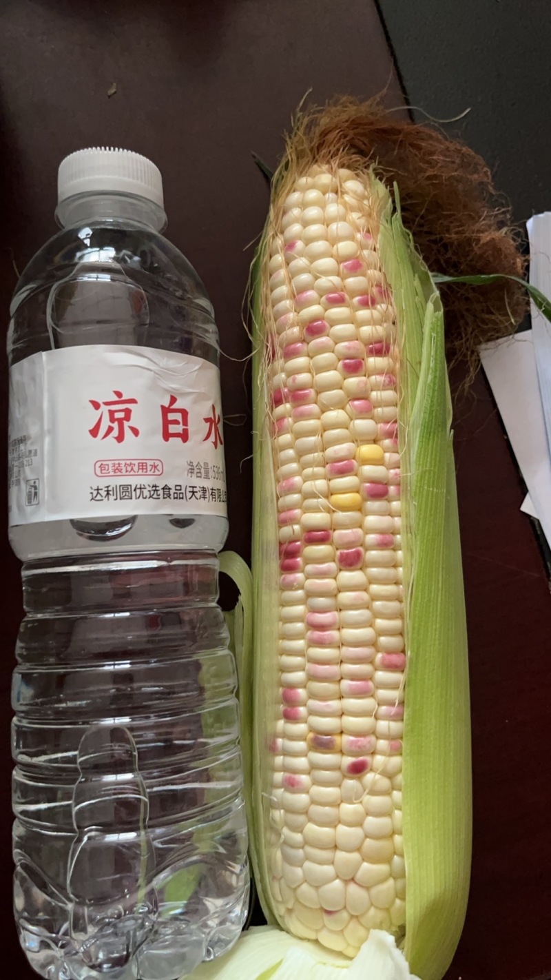 甜糯玉米，鲜食玉米，8两以上精品，大量有货