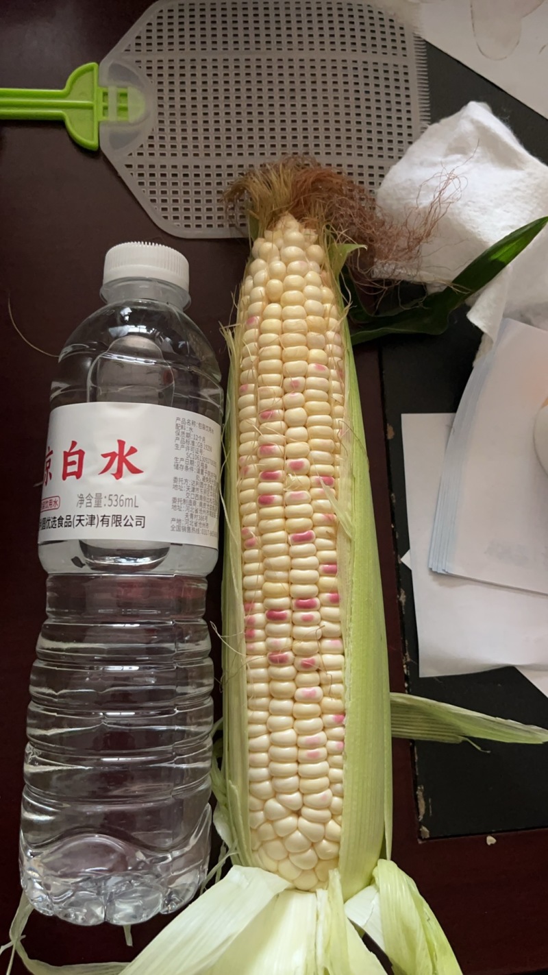 甜糯玉米，鲜食玉米，8两以上精品，大量有货