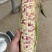 甜糯玉米，鲜食玉米，8两以上精品，大量有货