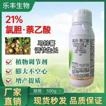 21%氯胆萘乙酸地下根茎膨大素植物生长调节剂
