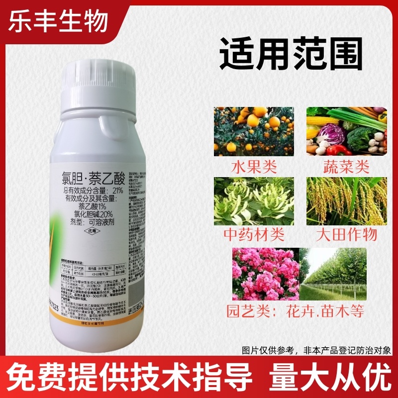 21%氯胆萘乙酸地下根茎膨大素植物生长调节剂