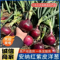 《紫皮洋葱》安纳红系列/个头大颜色亮耐运输/可全国发货
