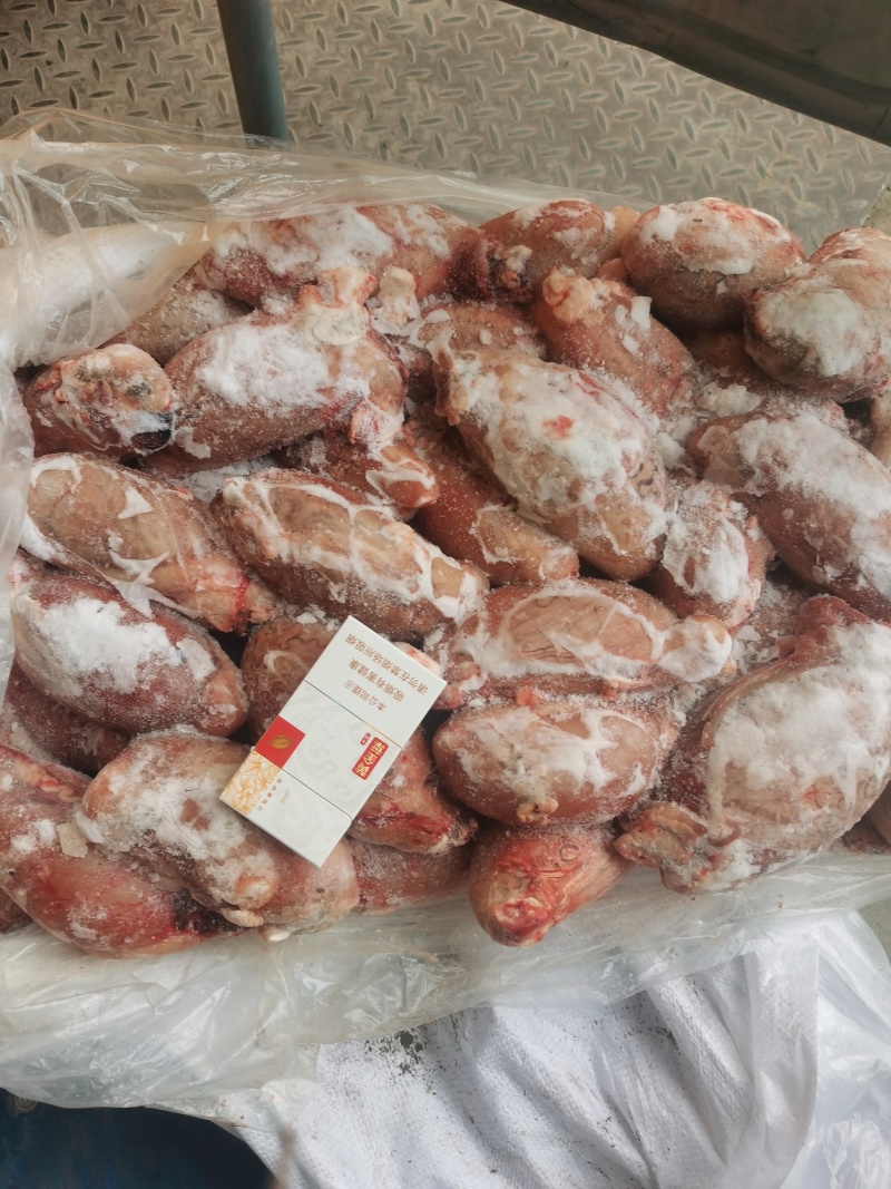 国产单冻大牛蛋，单冻牛宝，质量保证一手货源，全国发货