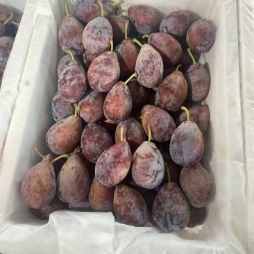 新疆喀什法兰西