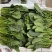 精品菠菜价格优惠量大从优