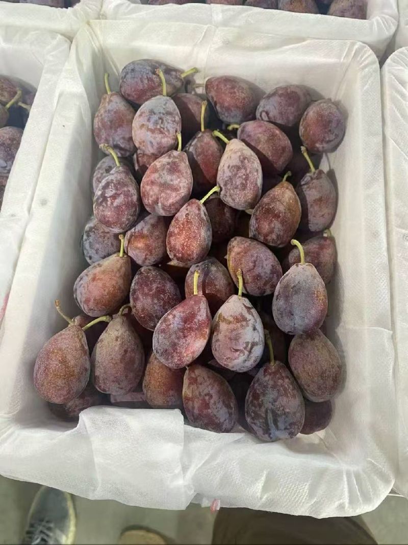 新疆喀什法兰西
