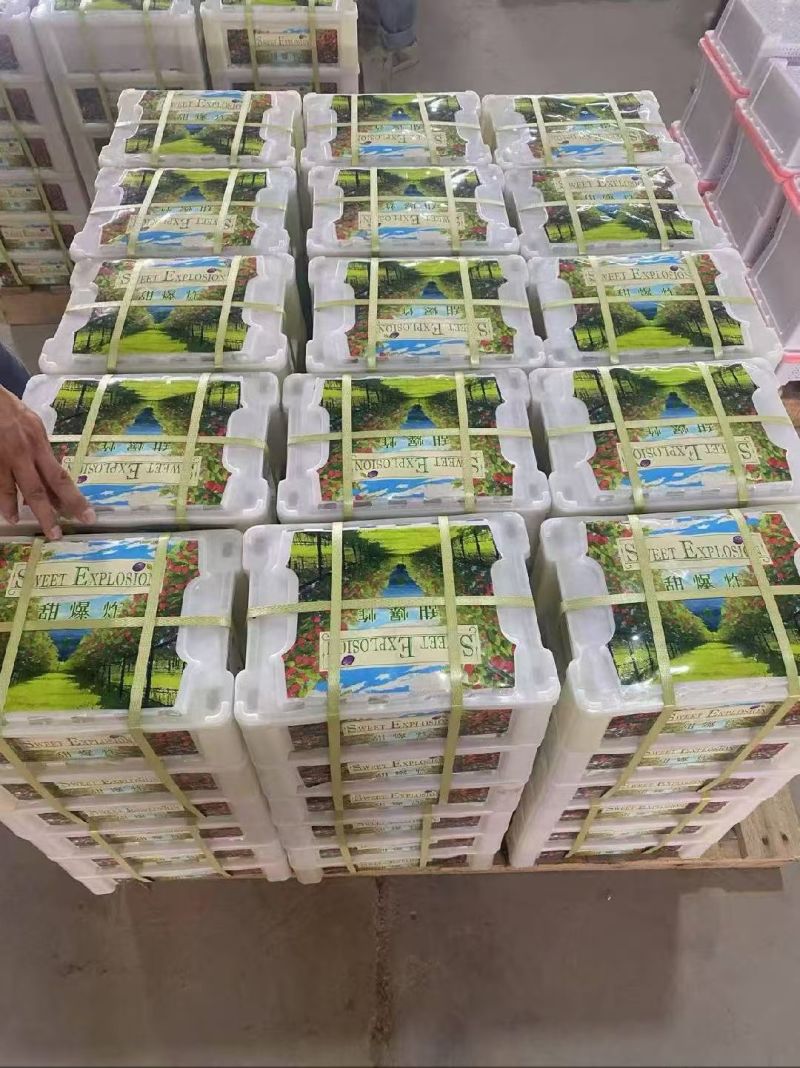 新疆喀什法兰西