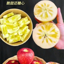红旗坡阿克苏冰糖心苹果，产地代办。