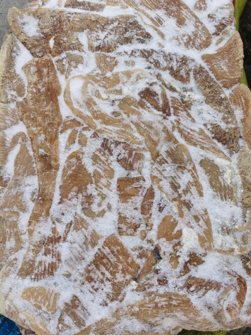 牛肠去油牛小肠国产破肠串串火锅纯清水煮5分熟纯干