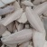 海螵蛸乌贼骨鱼骨现货供应1斤起批量大优惠
