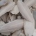 海螵蛸乌贼骨鱼骨现货供应1斤起批量大优惠
