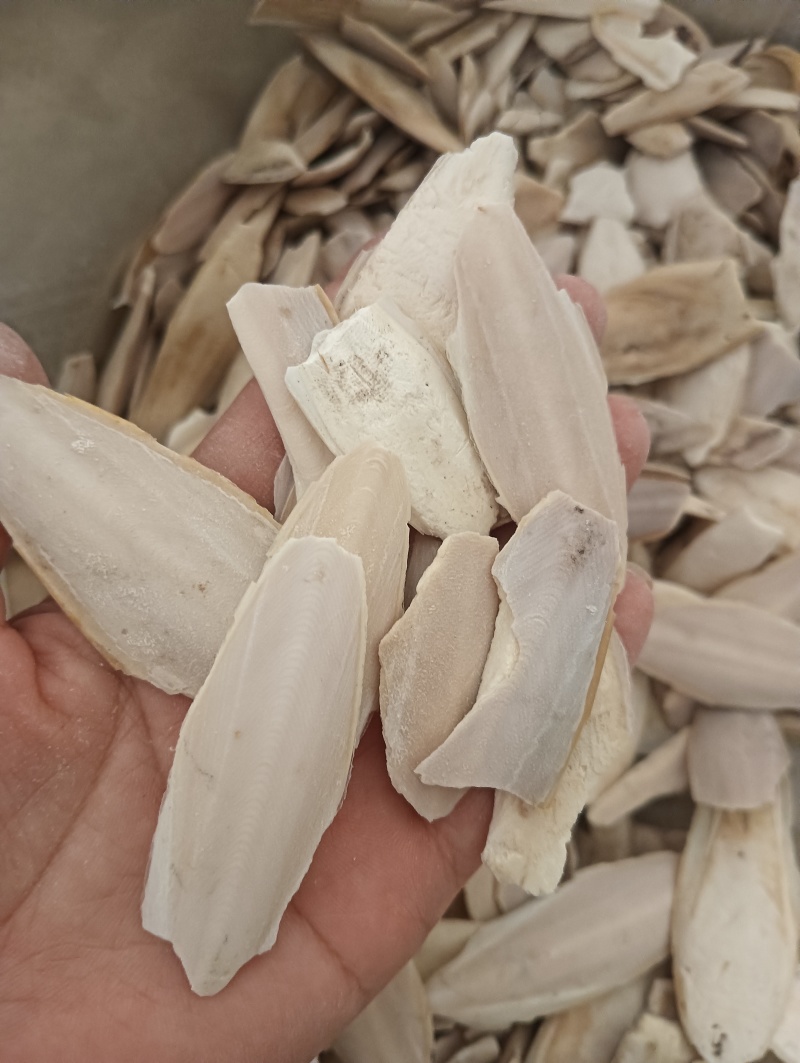 海螵蛸乌贼骨鱼骨现货供应1斤起批量大优惠