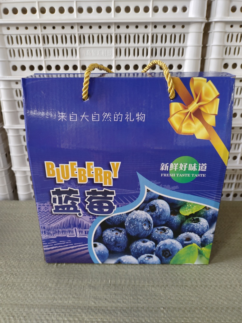 蓝莓筐