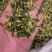 莲子心无硫***质量保证诚信经营批发零售各种花茶