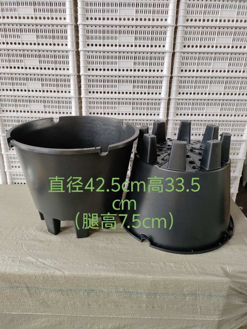 蓝莓基质盆种植盆加仑盆