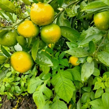 给钱就卖，第一次合作价钱无所谓当交个朋友