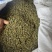吴茱萸、湖南中花吴茱萸干货。无杂质颜色好新货一手货源批发