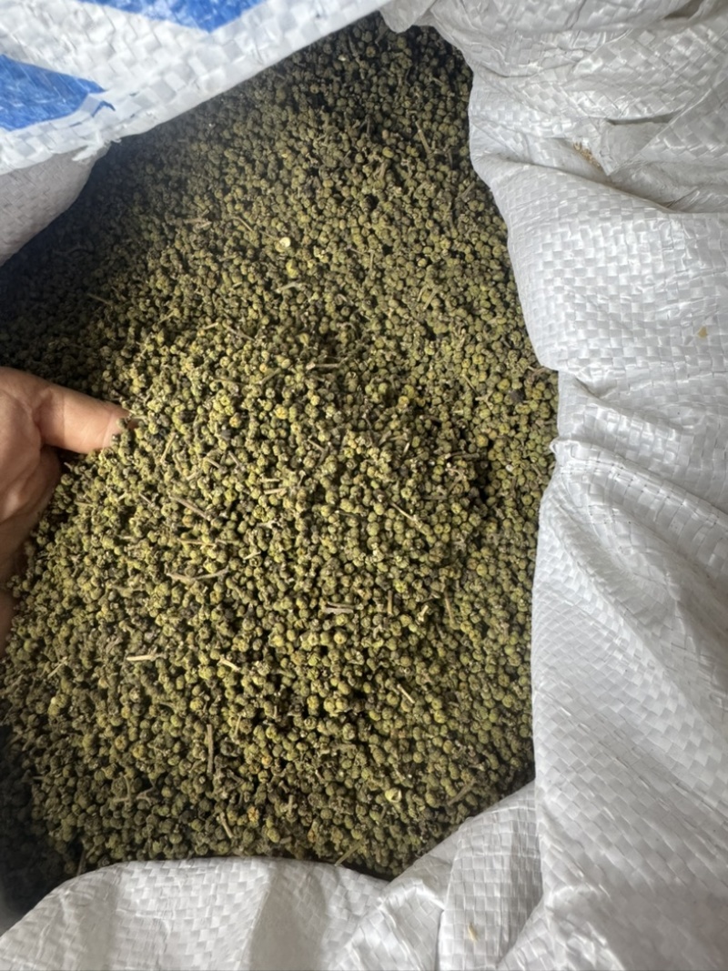 吴茱萸、湖南中花吴茱萸干货。无杂质颜色好新货一手货源批发