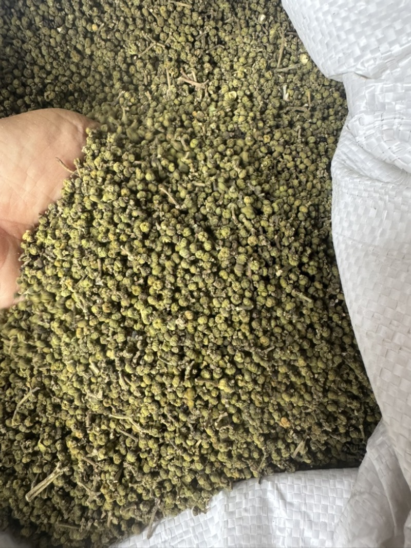 吴茱萸、湖南中花吴茱萸干货。无杂质颜色好新货一手货源批发