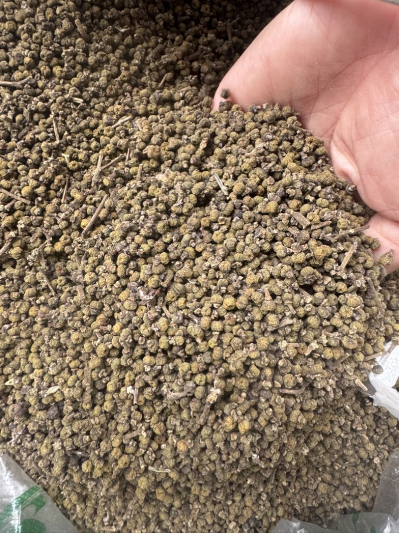 吴茱萸、湖南中花吴茱萸干货。无杂质颜色好新货一手货源批发