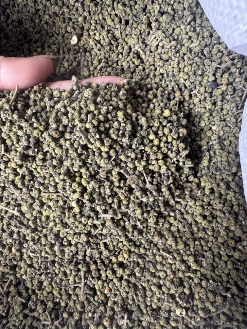 吴茱萸、湖南中花吴茱萸干货。无杂质颜色好新货一手货源批发