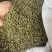 吴茱萸、湖南中花吴茱萸干货。无杂质颜色好新货一手货源批发