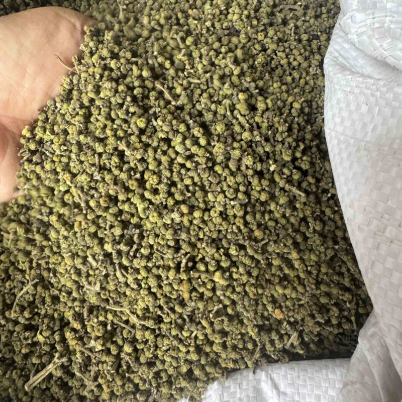 吴茱萸、湖南中花吴茱萸干货。无杂质颜色好新货一手货源批发