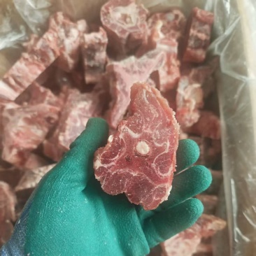 羊蝎子