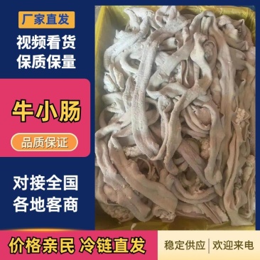 牛肠去油牛小肠国产破肠串串火锅纯清水煮5分熟纯干