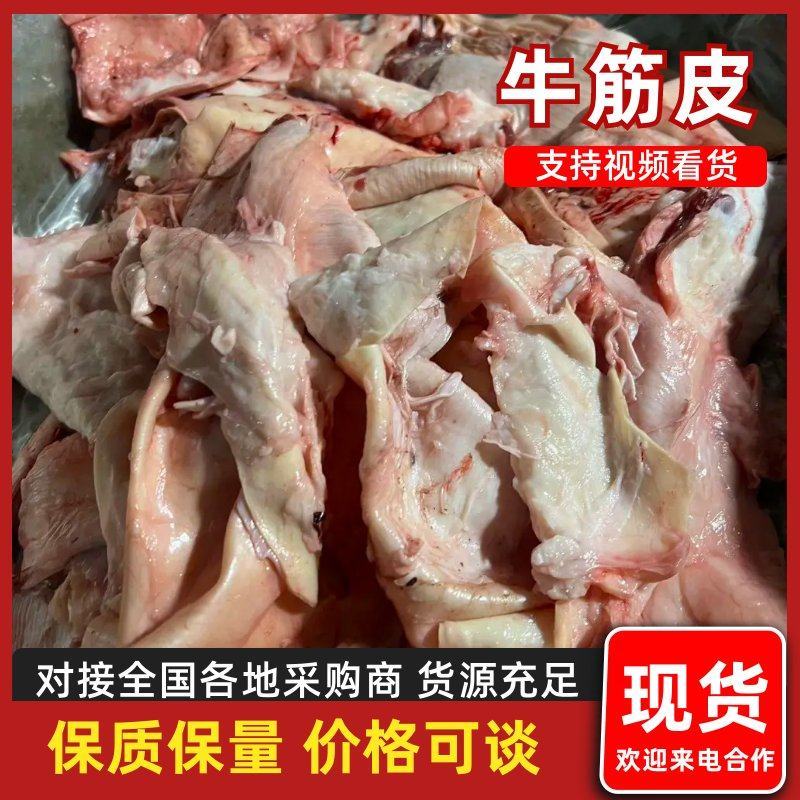 牛筋皮，国产牛腩筋，鲜冻牛腩筋，新疆鲜冻牛黄皮