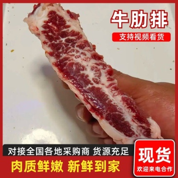 精品牛排骨国产鲜冻牛肋排黄牛牛肋排鲜的很肉多多