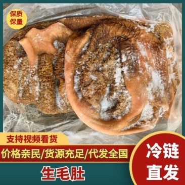 【精品毛肚】国产生毛肚牛肚屠宰场一手可加工定制